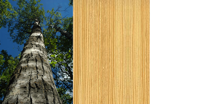 hemlock les za savne 