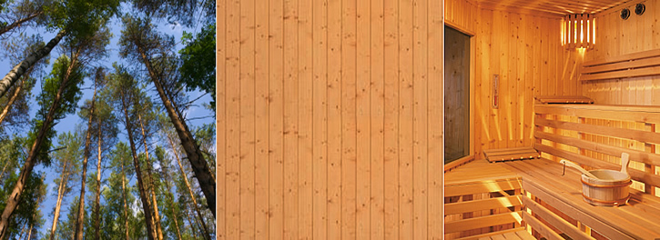 Les za savne - nordijska smreka